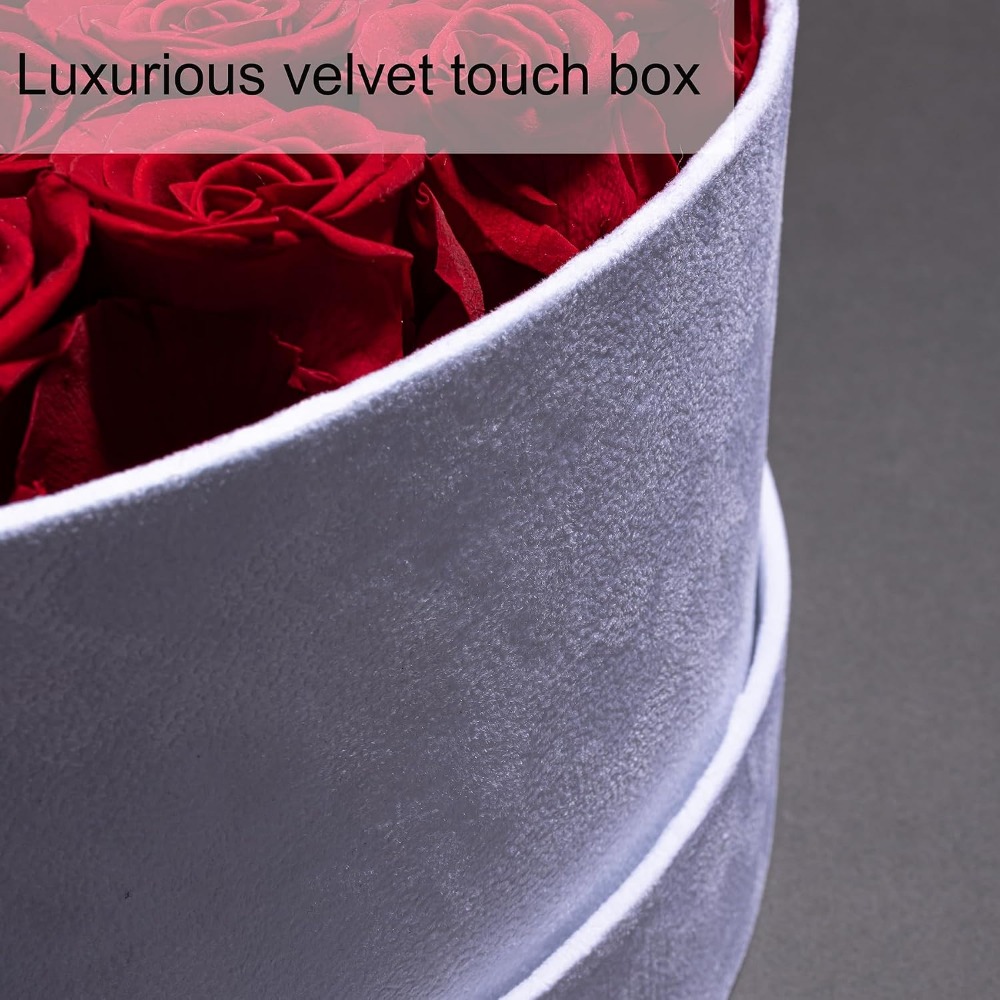 50 Velvet Box Roses, Preserved - đánh giá và giá Home Decor Tulip