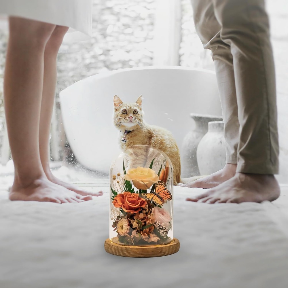 Elegant Preserved Flowers: Tim - đánh giá và giá Home Decor Tulip