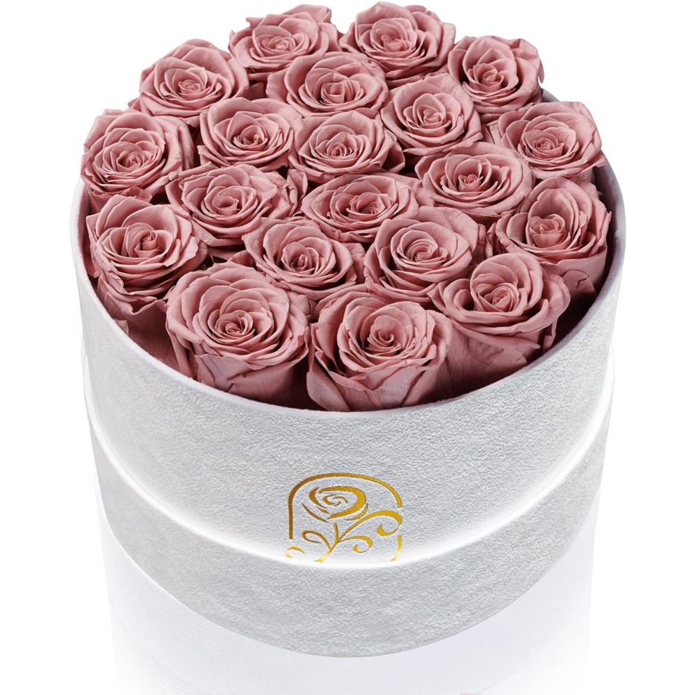 Preserved Roses Velvet Box, La - đánh giá và giá Home Decor Tulip