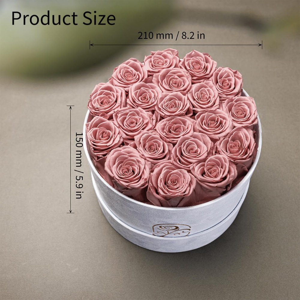 Preserved Roses Velvet Box, La - đánh giá và giá Home Decor Tulip