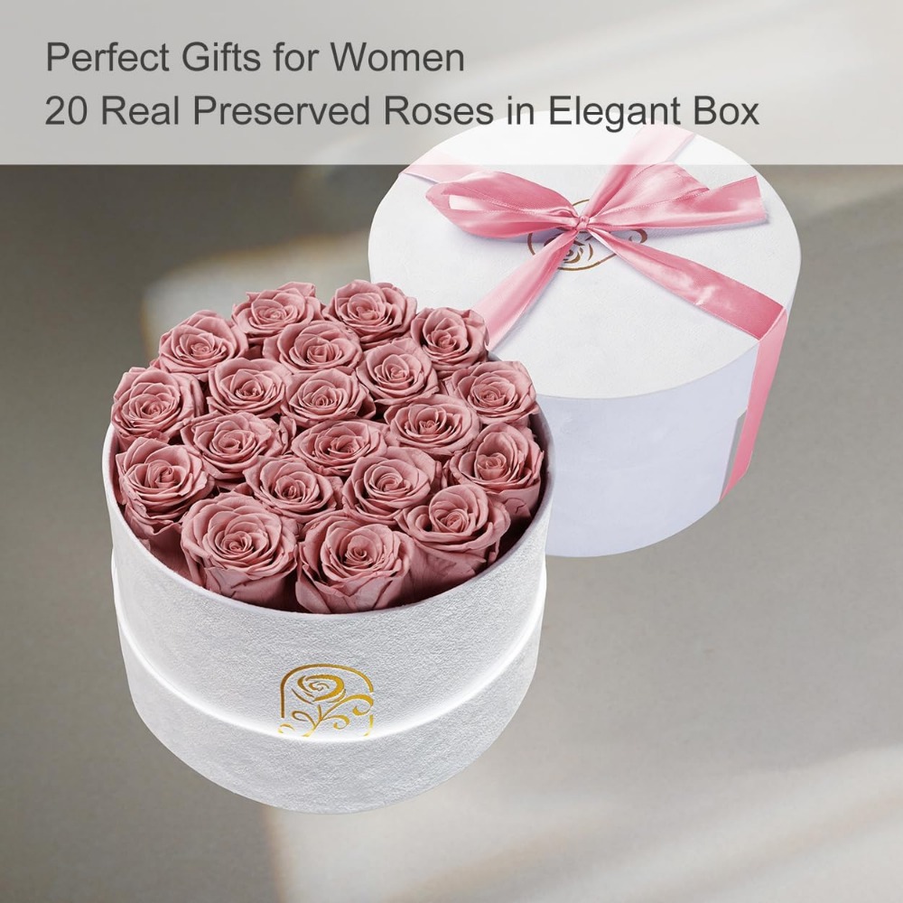 Preserved Roses Velvet Box, La - đánh giá và giá Home Decor Tulip