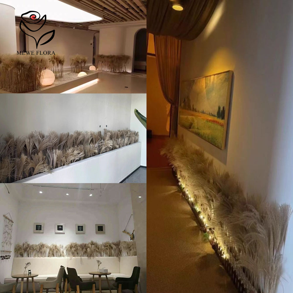 200PCS Natural Dried Fluffy Re - đánh giá và giá Dried Flower Bouquet