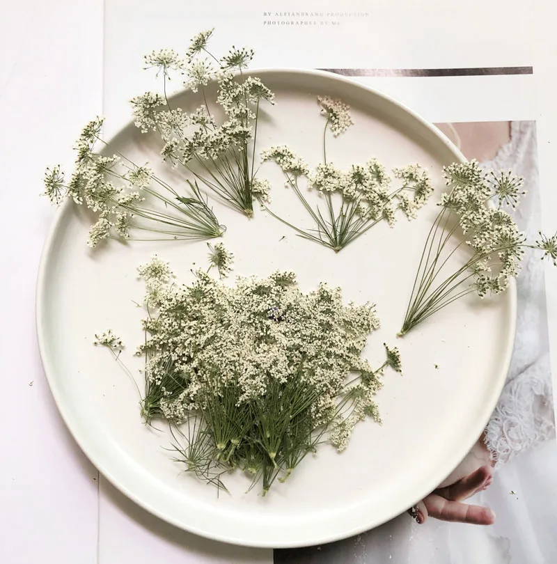 5-7Cm/12 Chiếc, Tuyết Hoa Nhỏ  - đánh giá và giá Dried Flower Bouquet