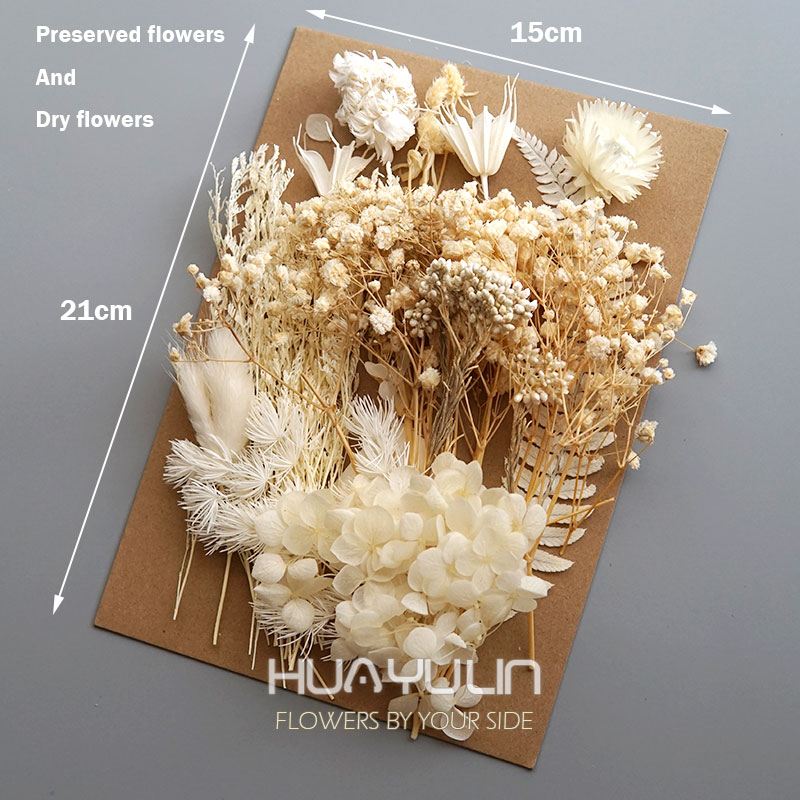 1 Pack Artificial Plants Dried - đánh giá và giá Dried Flower Bouquet