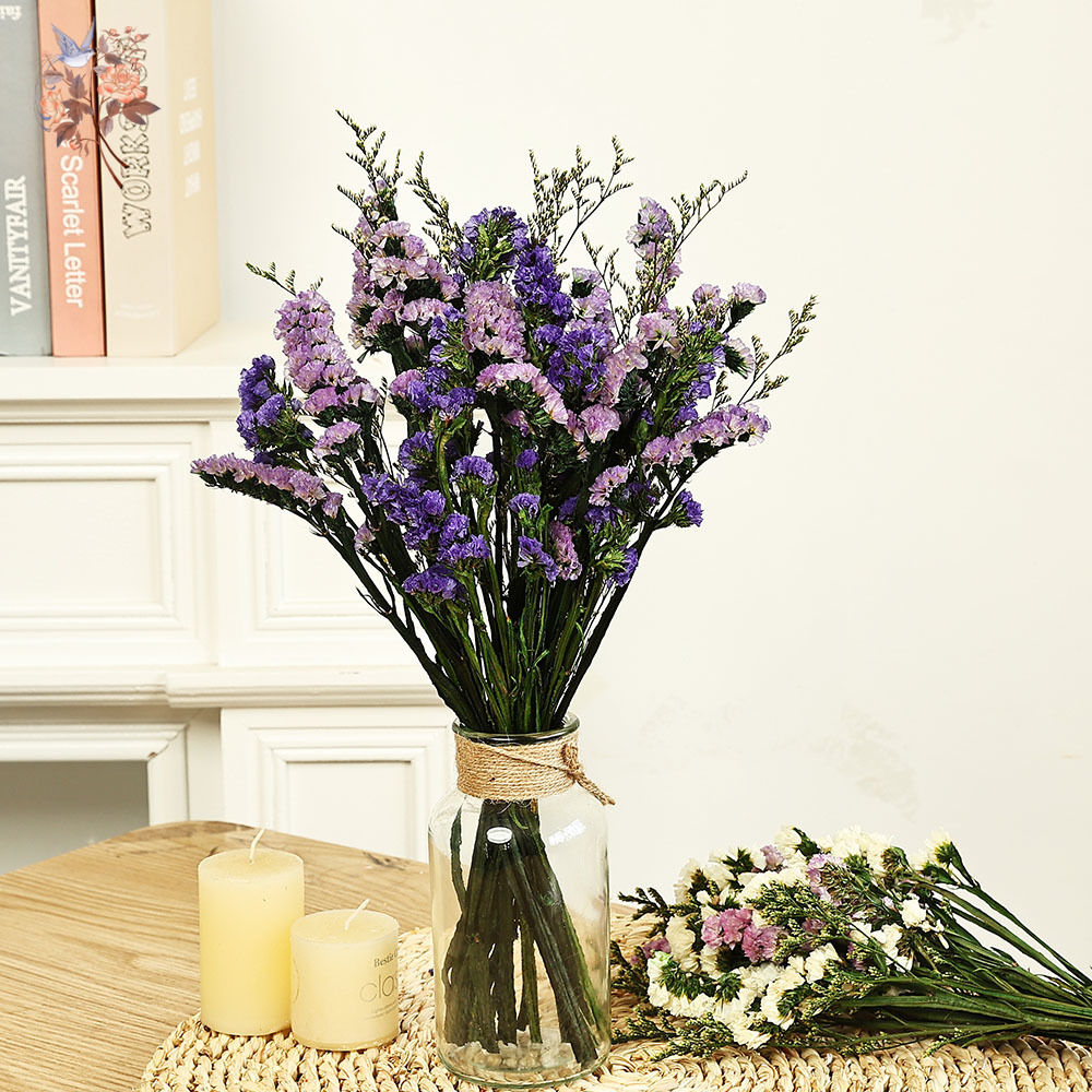 100g Natural Real Forget-me-no - đánh giá và giá Dried Flower Bouquet