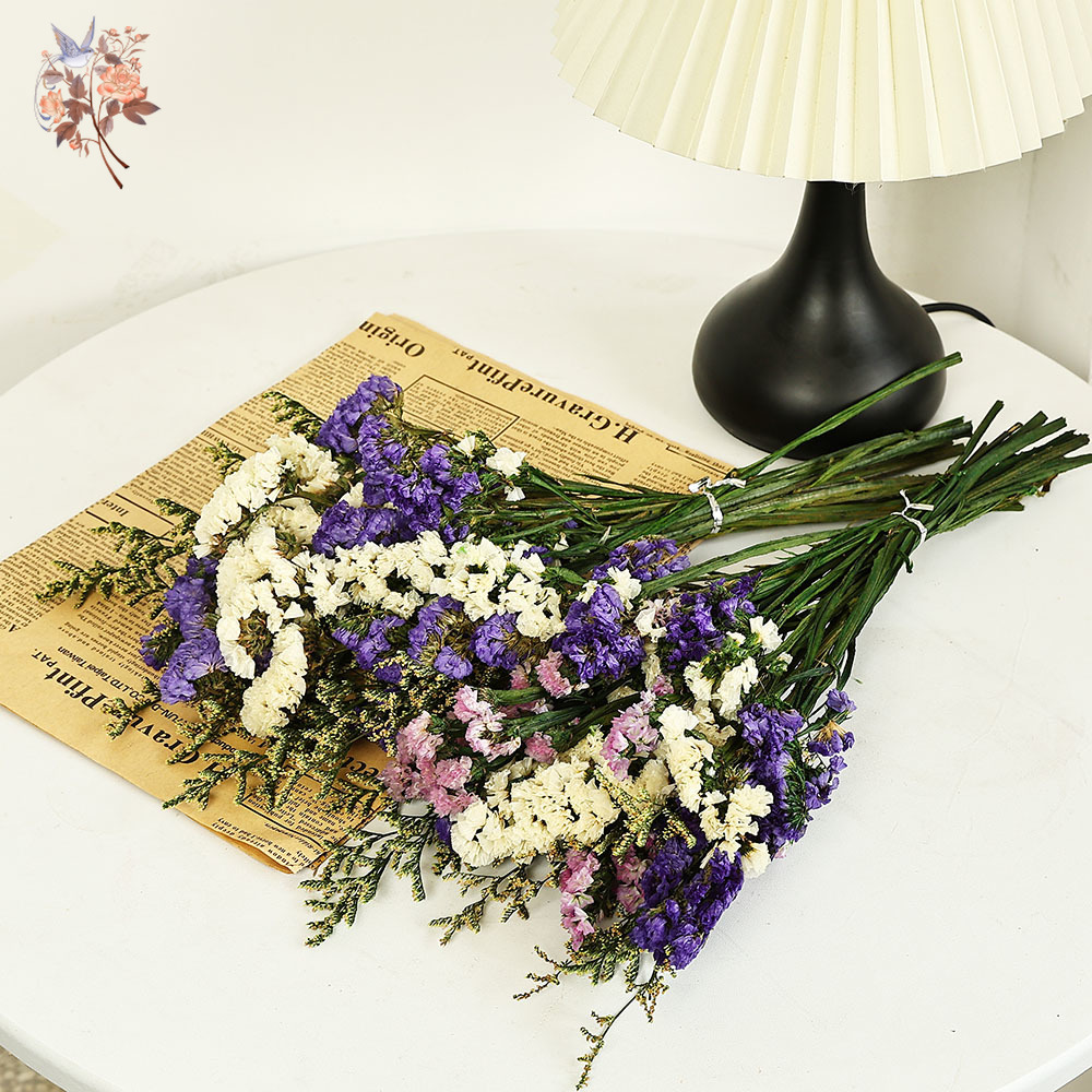 100g Natural Real Forget-me-no - đánh giá và giá Dried Flower Bouquet