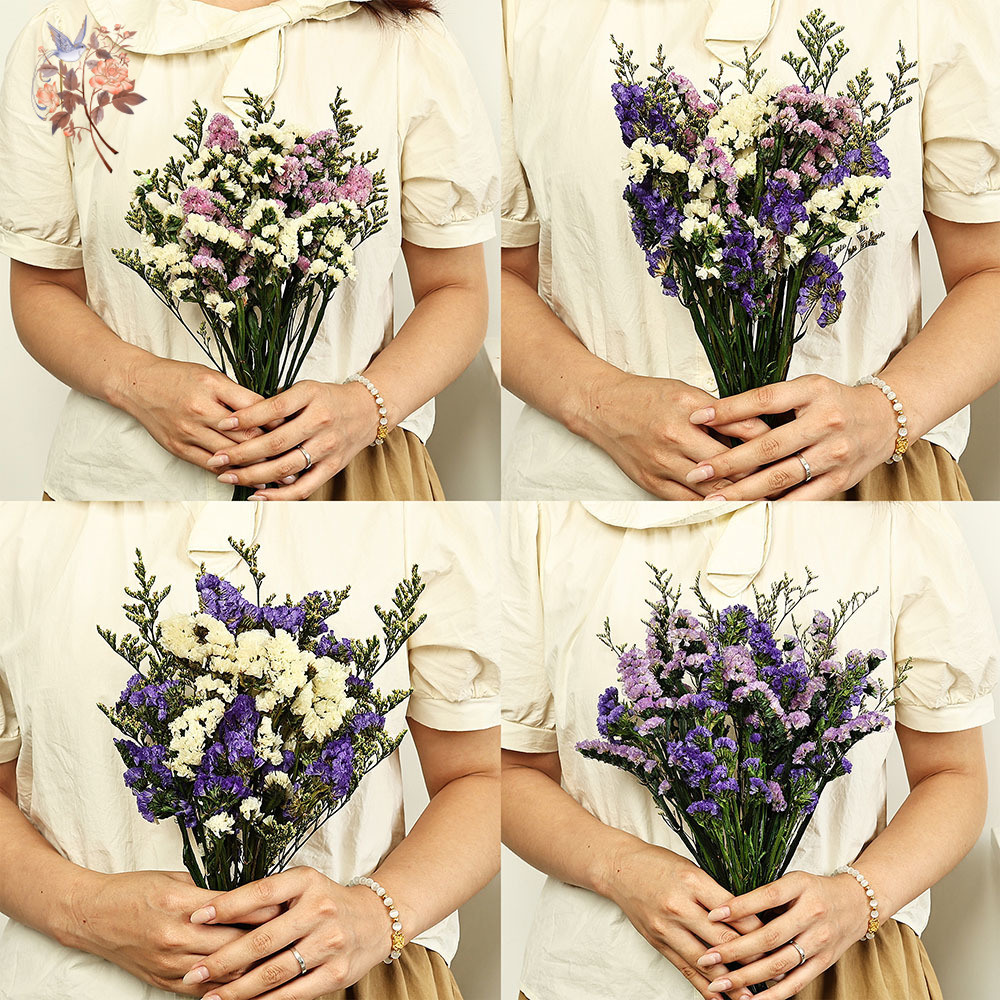100g Natural Real Forget-me-no - đánh giá và giá Dried Flower Bouquet