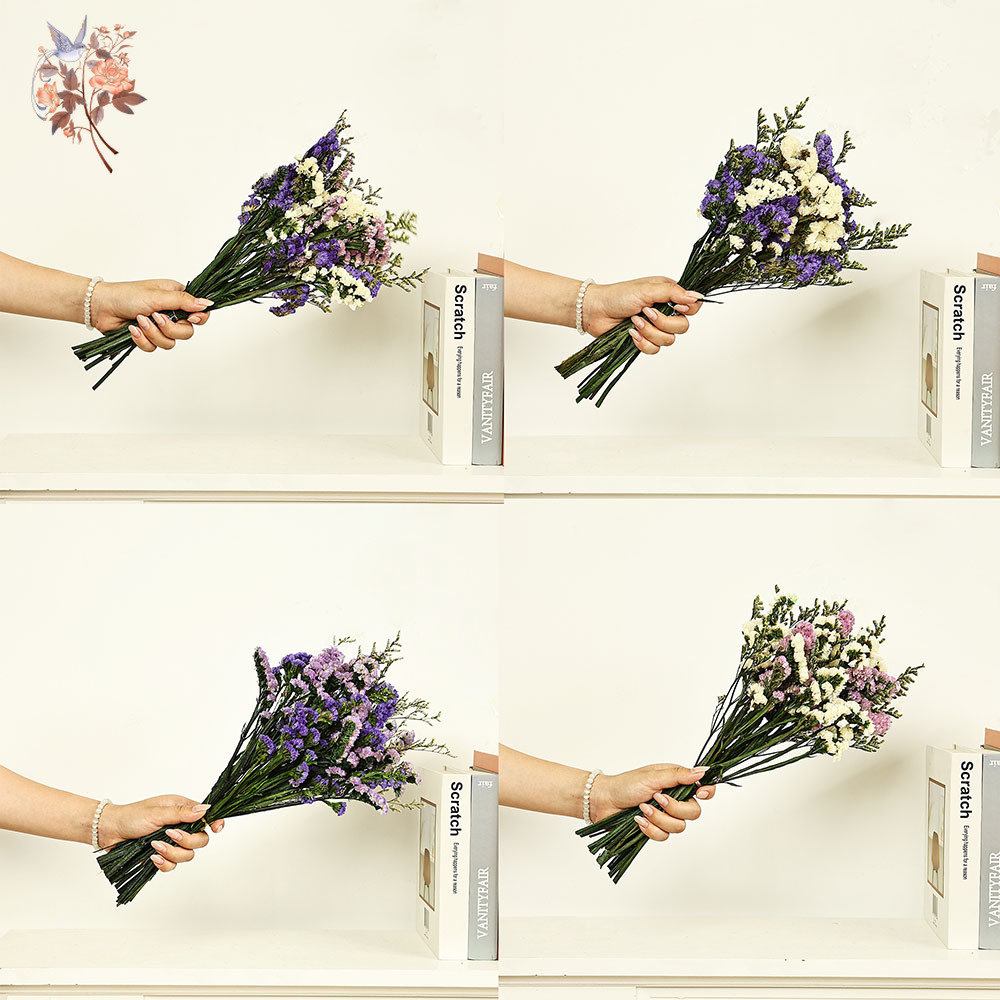 100g Natural Real Forget-me-no - đánh giá và giá Dried Flower Bouquet