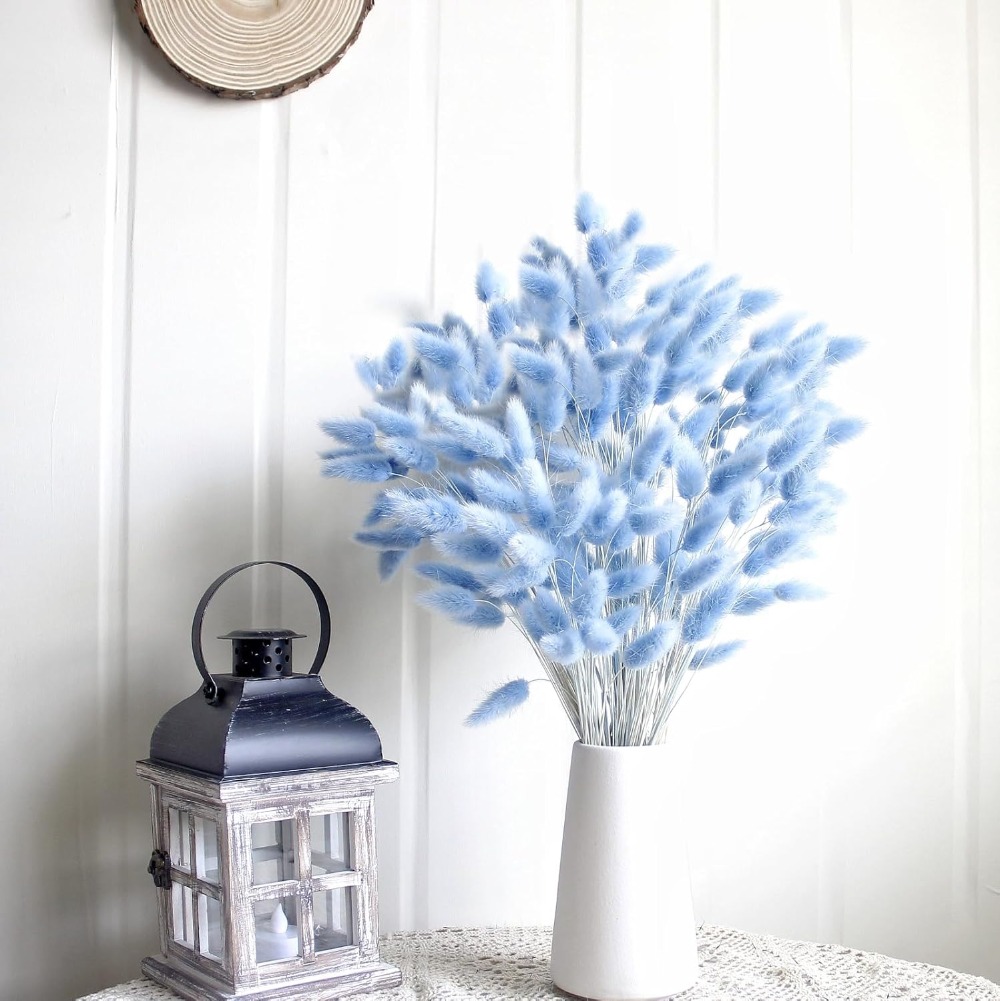 100PCS Blue Hare's-tail Grass  - đánh giá và giá Dried Flower Bouquet