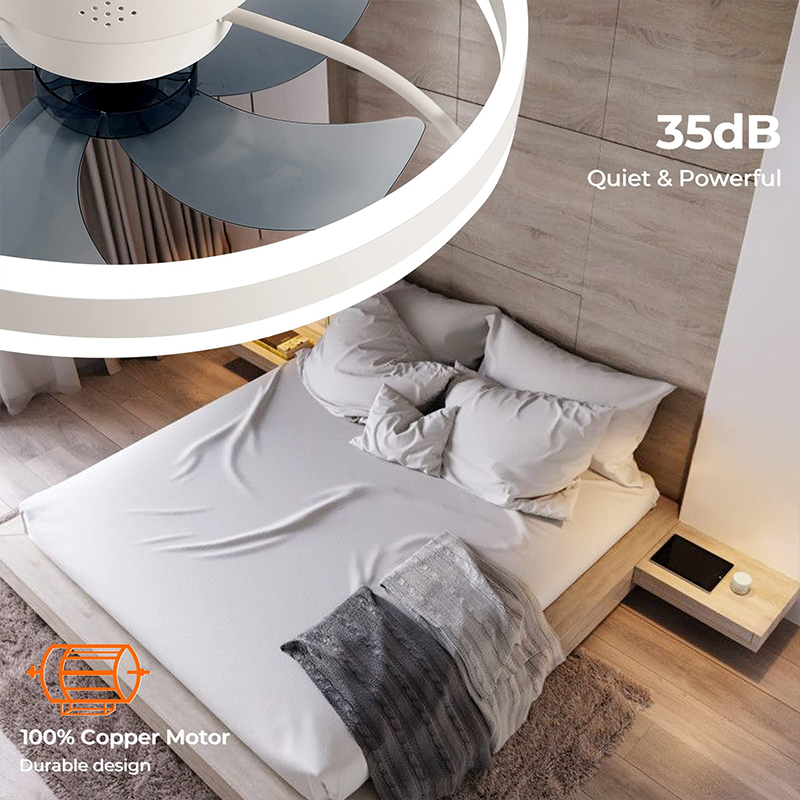 LED Ceiling Light Fan With APP - đánh giá và giá Home Decor Free App