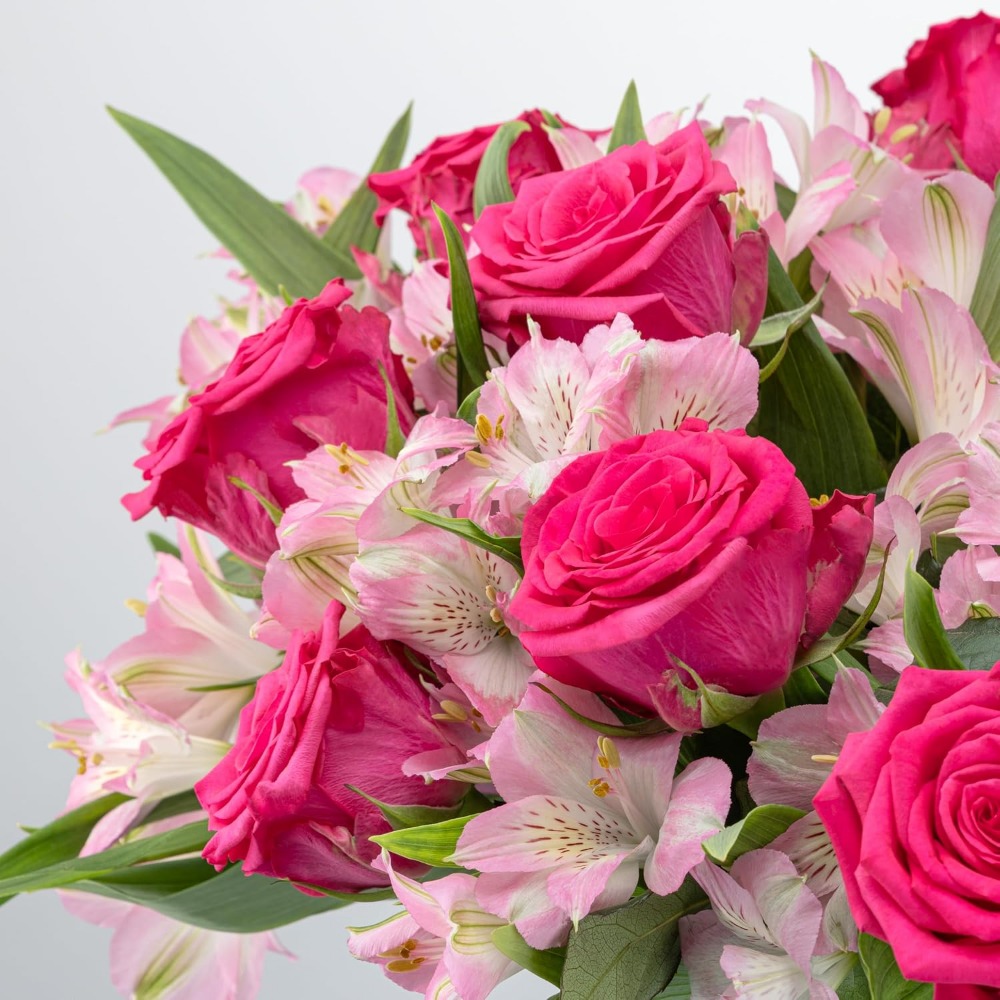 Elegant Rose and Alstroemeria  - đánh giá và giá Home Decor Tulip