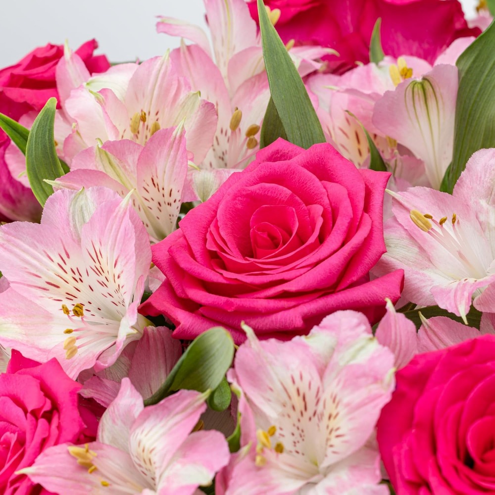 Elegant Rose and Alstroemeria  - đánh giá và giá Home Decor Tulip