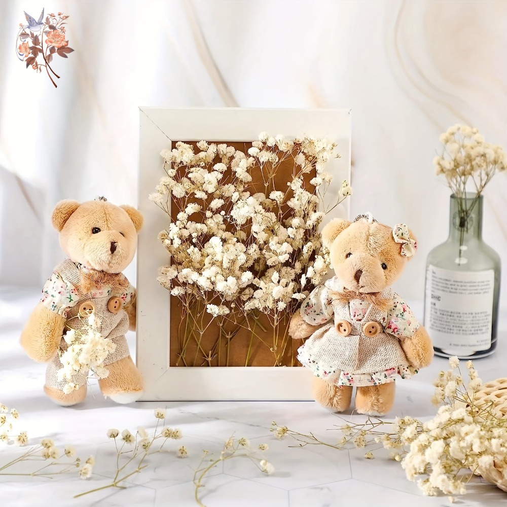100pcs Mini Dried Baby's Breat - đánh giá và giá Dried Flower Bouquet